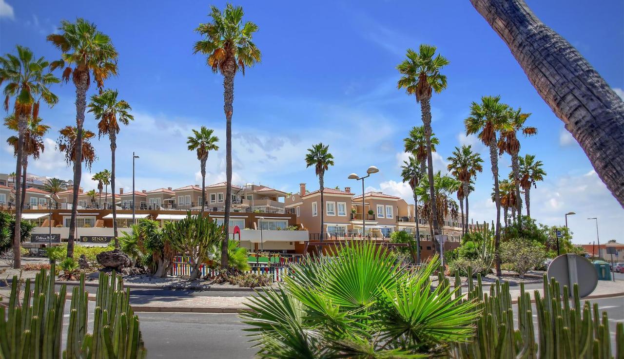 Luxury House Paraiso Del Palm Mar Exteriör bild